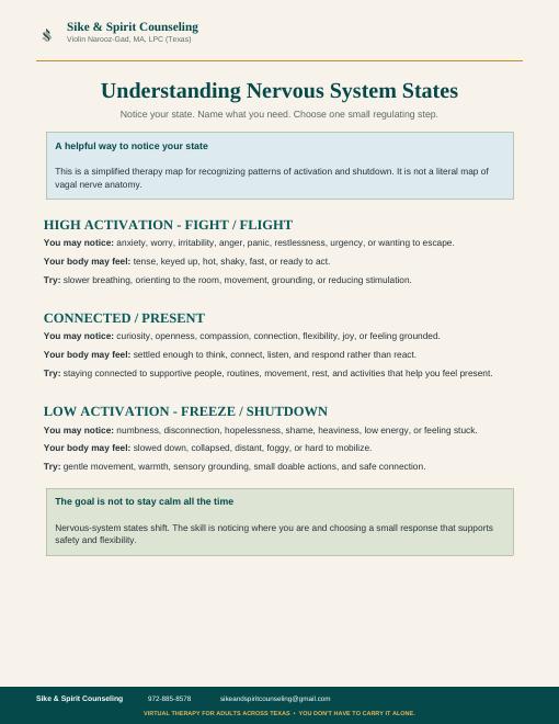 Nervous System States worksheet preview